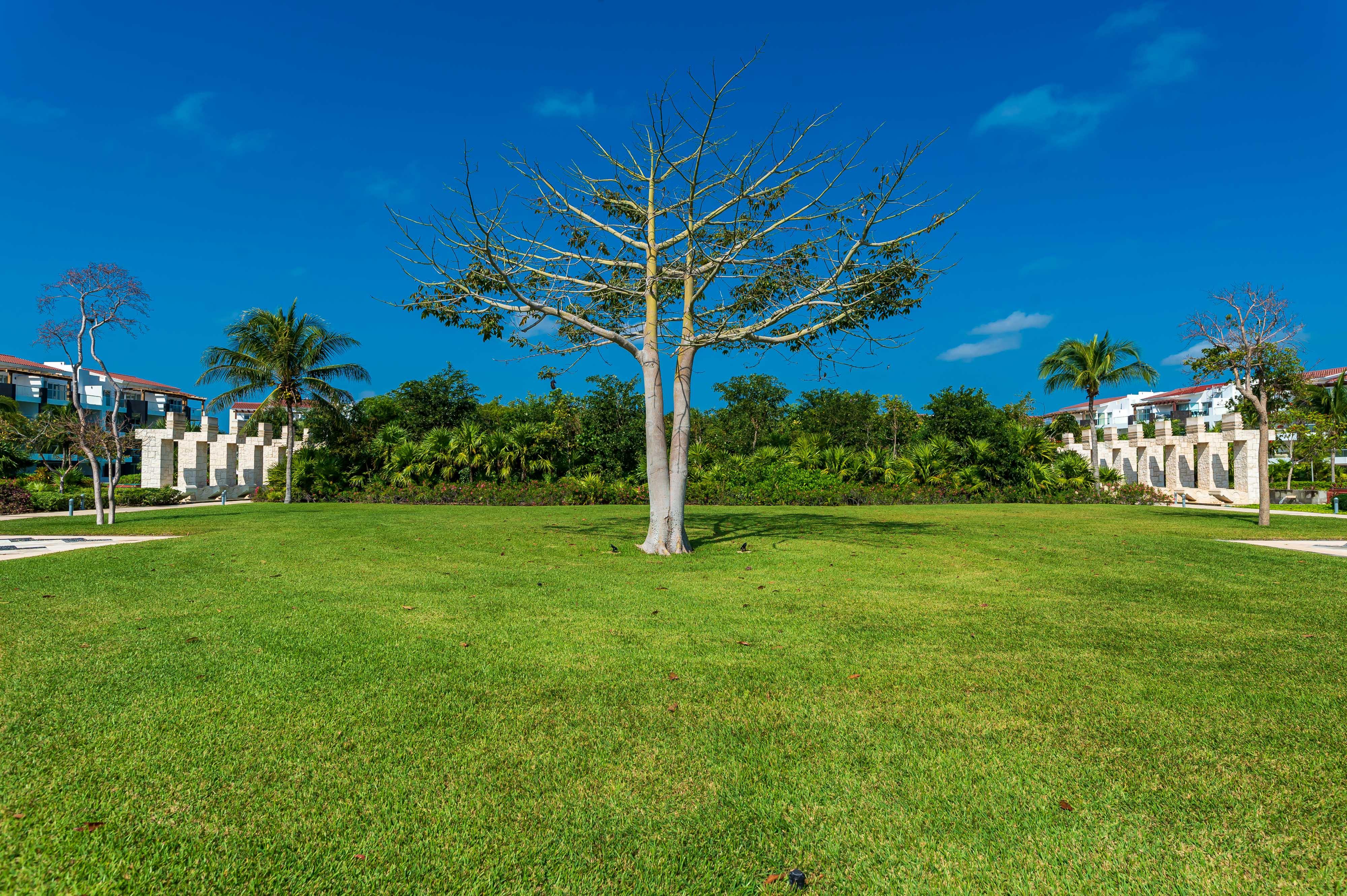 Mareazul Beach Front Resort Плайя-дель-Кармен Екстер'єр фото